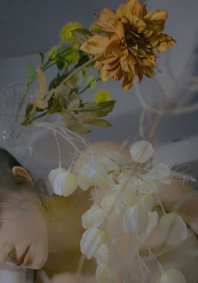 哈利波特2消失的密室免费观看_1080免费电视剧