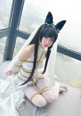 冷宫传_BD完整在线观看