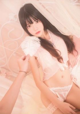 物语系列免费观看完整版_在线免费观看电影